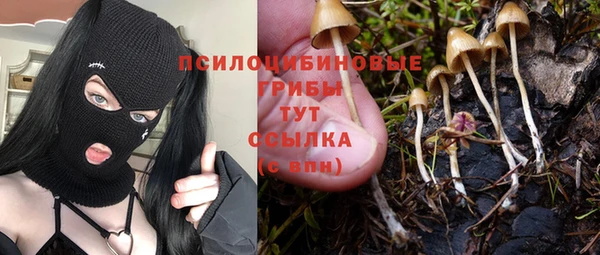 кокаин перу Ладушкин